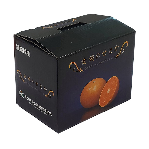 愛媛県 JAえひめ中央 せとか 計1.7kg以上 4L〜M【お届け期間:3月1日〜3月30日】【NN】　商品画像2