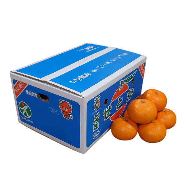 愛媛県 JAえひめ中央 せとか 計5kg以上 良L〜M【お届け期間:3月1日〜3月30日】【NN】 商品画像2