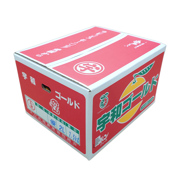 愛媛県 JAえひめ南 宇和ゴールド 計7kg以上 2L〜L【お届け期間:4月1日〜4月30日】【NN】　商品画像1