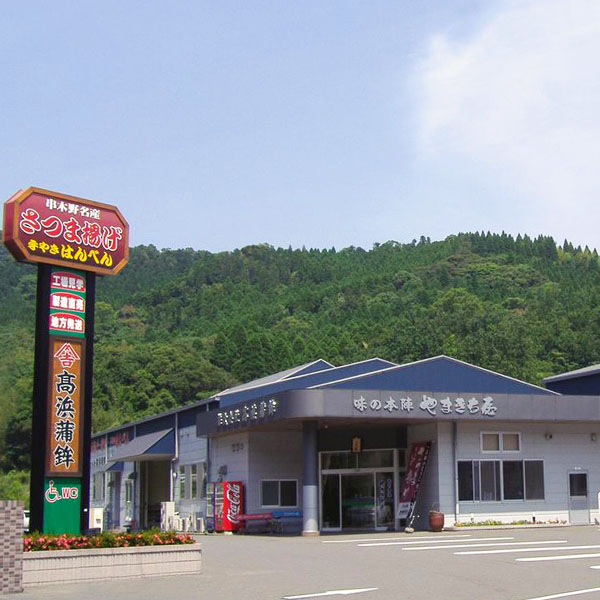 串木野 さつま揚げ詰合せ(L8093)【九州フェア】【サクワ】　商品画像2