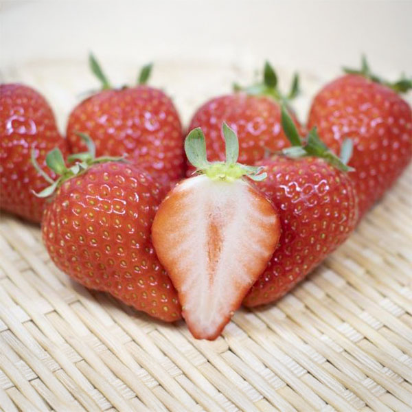 岡山県岡山市産 広岡農園の大粒いちご(ゆめのか)平パック 270g(12-15粒)2パックセット【お届け期間:2月15日〜4月30日】【NN】　商品画像2