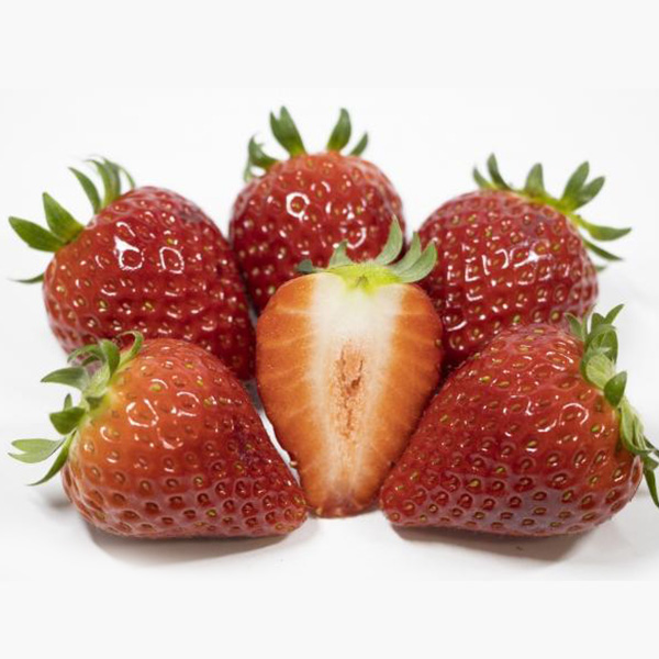 岡山県岡山市産 広岡農園の大粒いちご(スターナイト)平パック 270g(12-15粒)2パックセット【お届け期間:2月15日〜4月30日】【NN】　商品画像2