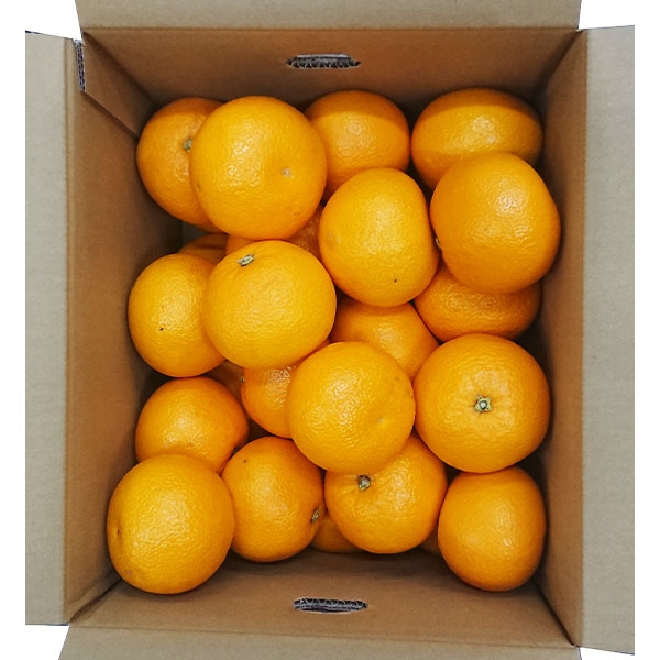 和歌山県産(JAわかやま ありだ地域本部)はっさく10kg【お届け期間:2026年3月10日〜2026年3月22日】【NN】 商品画像2