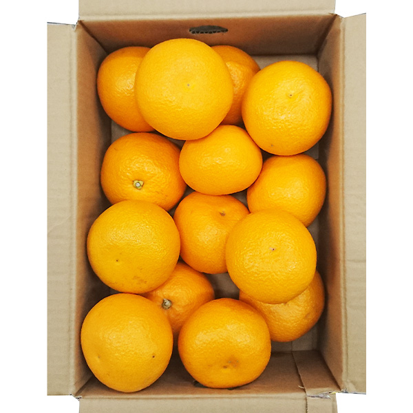 和歌山県産(JAわかやま ありだ地域本部)はっさく4.5kg【お届け期間:2026年3月10日〜2026年3月22日】【NN】 商品画像2