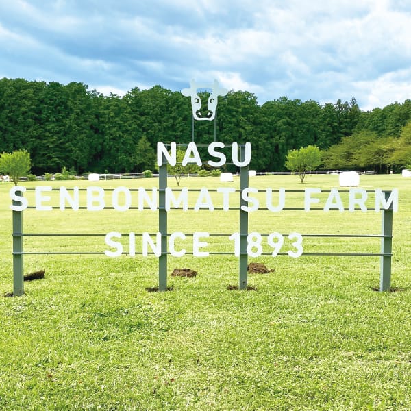 栃木 那須千本松牧場 牧場ミルクレープ 6号1個【KN】　商品画像2