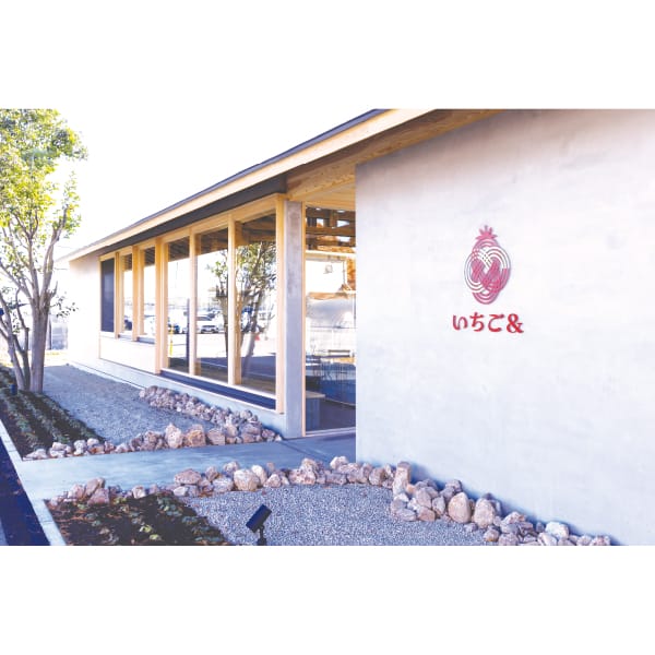 栃木 いちごの里ファーム お濃茶フィナンシェ5個入【KN】 商品画像2