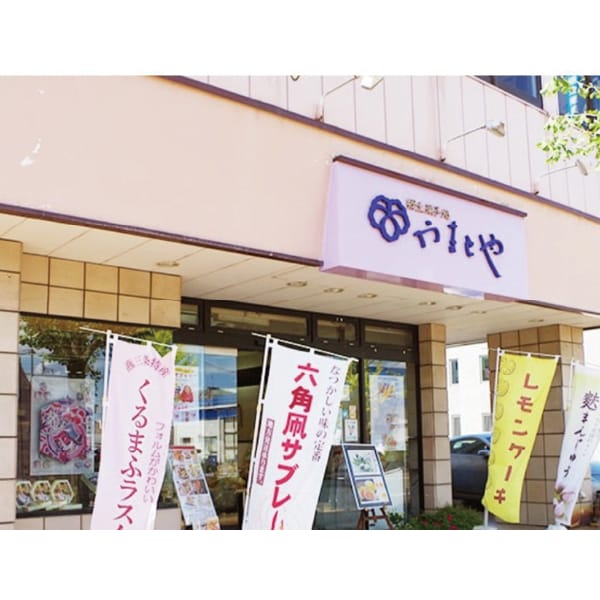 新潟 ヤマトヤ製菓 果実ケーキセット50g×8個【KN】 商品画像2