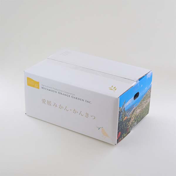 愛媛県八幡浜市産 ニューサマーオレンジ 秀品 2.5kg S〜2Lサイズ【限定500点】【お届け期間：4月1日〜4月30日】【超！春トク祭り】　商品画像2