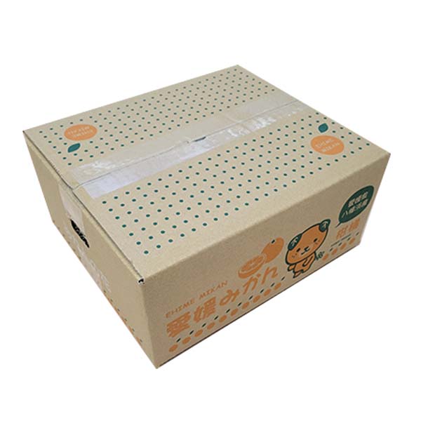 愛媛県八幡浜市産 ニューサマーオレンジ ご自宅用 わけあり 4kg S〜2Lサイズ【限定500点】【お届け期間：4月1日〜4月30日】【超！春トク祭り】　商品画像2