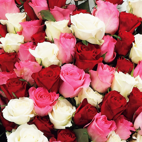 茨木春草園 大輪バラ100本のブーケ【母の日】　商品画像2