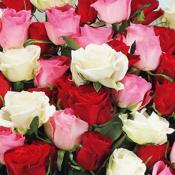 茨木春草園 大輪バラ50本のブーケ【母の日】 商品画像2