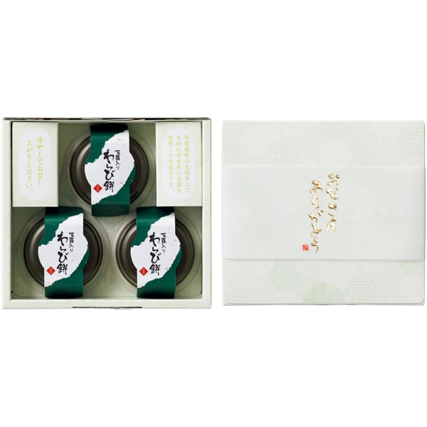 SUNCOF インテリアグリーンの寄せ植え(SUSTEE付)+太田製茶 玉露入りわらび餅【父の日】 商品画像2