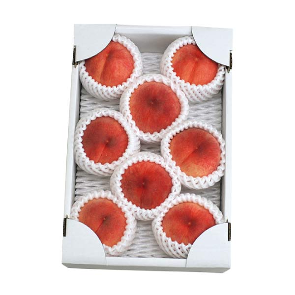 福島県産 若手生産者 木村さんたちの自慢の「川中島白桃」(お届け期間：8/21〜8/31)【夏の贈りもの・お中元】　商品画像2