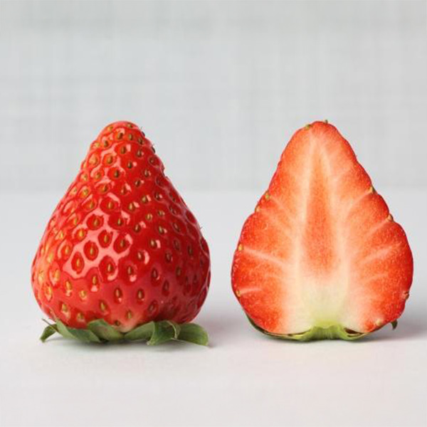 島根県産(イオン島根安来農場) イオン農場いちご(スターナイト・紅ほっぺ) 1箱2パック入り(250g以上×2)【お届け期間:3月20日〜3月31日】【NN】 商品画像2