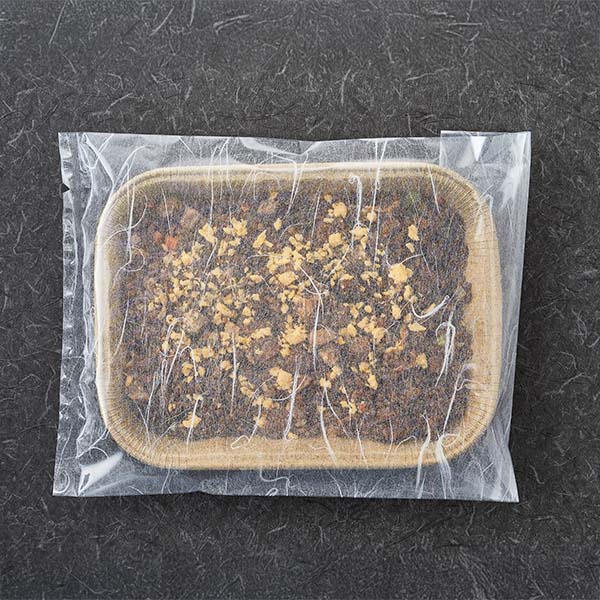 横浜中華街 状元樓 黒醤油炒飯・海鮮入り生姜炒飯・上海焼き小籠包セット(L8198)【中華特集】【サクワ】 商品画像2