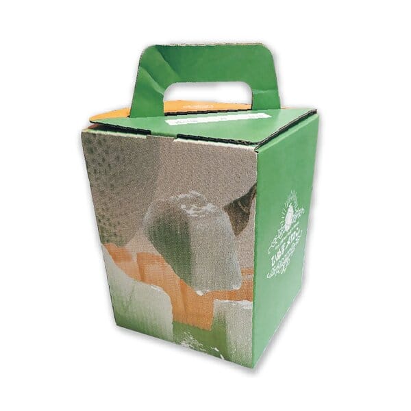 茨城県 JA水戸ひぬま イバラキングメロン 3Lサイズ1玉入り【限定100点】【お届け期間:5月20日〜6月30日】【KN】　商品画像1