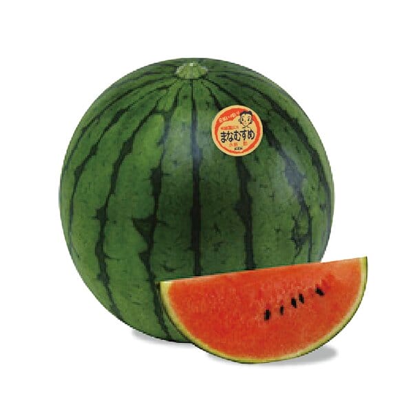 茨城県 筑西市地区 こだますいか(愛娘)Mサイズ 1玉入り【お届け期間:5月12日〜6月30日】【KN】　商品画像1