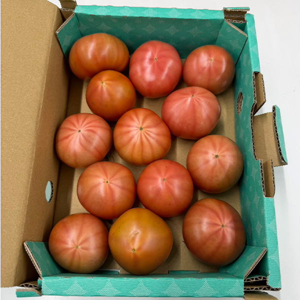 大阪府産 フルーツトマト極 800g以上【お届け期間:4月20日〜6月20日】【NN】 商品画像2