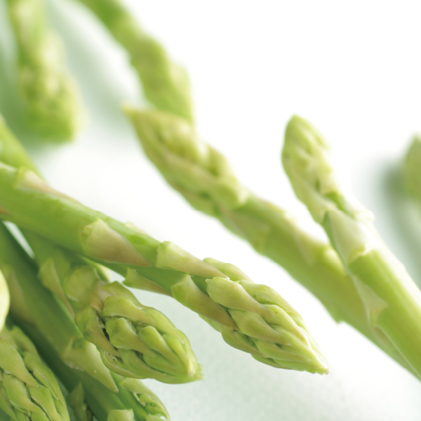 北海道 ハウス栽培グリーンアスパラガス(L500g)【お届け期間:5月7日〜5月10日】【MK】　商品画像2