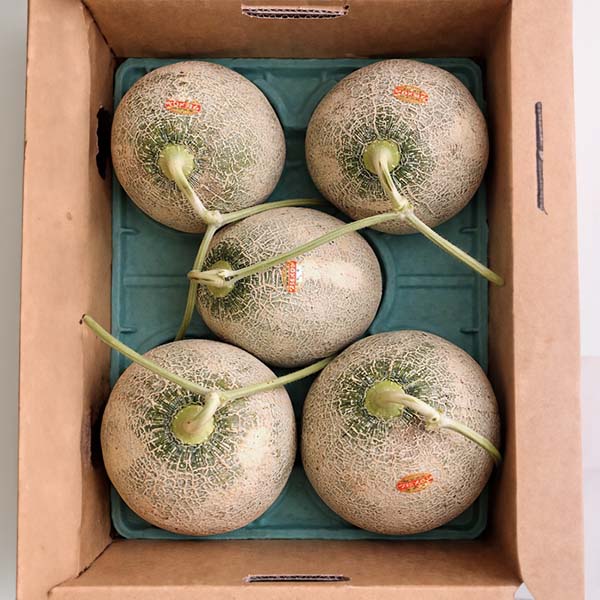 北海道夕張市産 JA夕張市 夕張メロン 大箱 3〜6個 ご自宅用【限定500点】【お届け期間:6月11日〜8月15日】【GW】 商品画像2