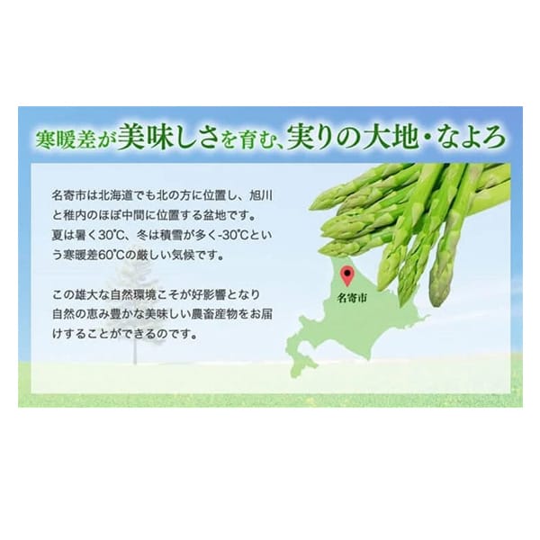 北海道産 JA道北なよろ グリーンアスパラ 1kg(Mサイズ)【CB】　商品画像2