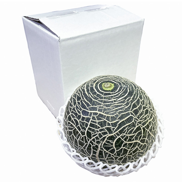 熊本県産永松農園の肥後グリーンメロン計1.8kg(1玉入り)【お届け期間:5月20日〜6月30日】【旬鮮便】【NN】 商品画像2