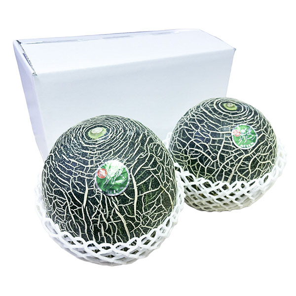 熊本県産永松農園の肥後グリーンメロン計3.6kg(2玉入り)【お届け期間:5月20日〜6月30日】【旬鮮便】【NN】 商品画像2