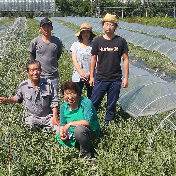 山形県産 門脇さんのすいか ブラックジャック【お届け期間：7月25日〜8月20日】【イオンゴールドカード会員さま限定特別セール5月】　商品画像2