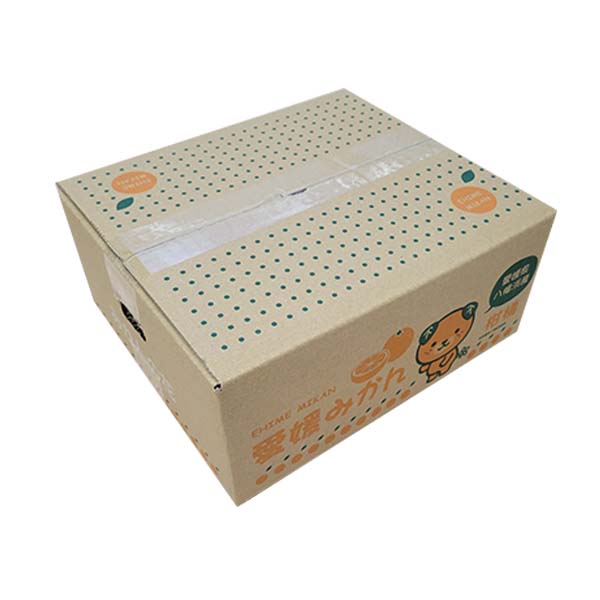 愛媛県八幡浜産 清見 ご自宅用 わけあり 2kg ジュース付き【限定200点】【お届け期間：6月1日〜6月30日】【イオンゴールドカード会員さま限定特別セール5月】　商品画像2