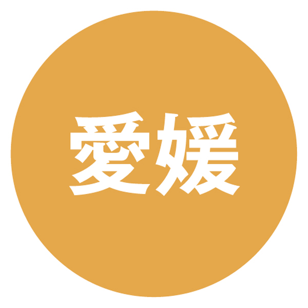 愛媛 畑田本舗 厳選ギフトA 一切御栗タルト2、一切ハタダ栗タルト2、どら一おもいでカスタード6、鳴門金時ポテト4、媛の月2【NN】　商品画像2