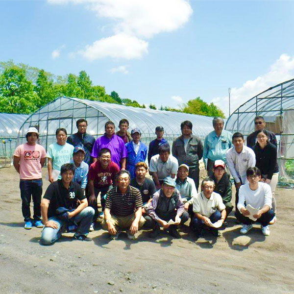 北海道産 アサヒメロン 良品 2Lサイズ 1玉【お届け期間：8月7日〜8月14日】【お盆ごちそう特集】　商品画像2