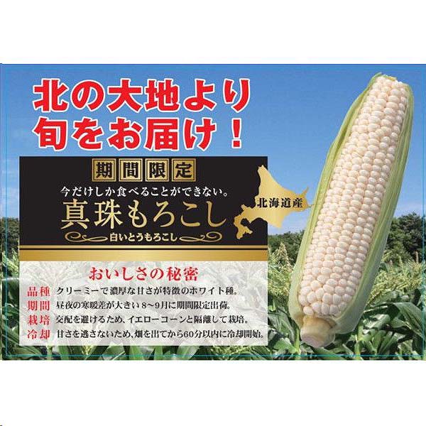 北海道 日胆ファーム とうもろこし 10本【お届け期間：8月26日〜9月12日】【北海道フェア】　商品画像2
