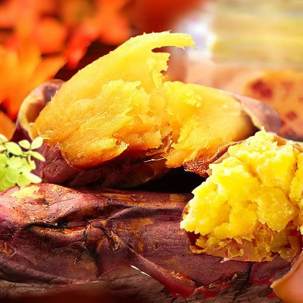 おいもや 紅はるか焼き芋5本(レンジ対応)【秋のうまいもの市】　商品画像2