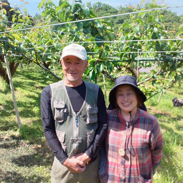 鳥取県産 梨 砂口さんの新興梨【限定50点】【お届け期間：10月1日〜10月31日】【秋のうまいもの市】　商品画像2