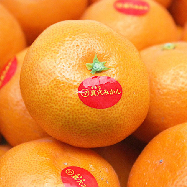 愛媛県産 JAにしうわ 真穴みかん S・M・Lサイズ 3kg【お届け期間:11月20日〜12月28日】【MK】　商品画像2