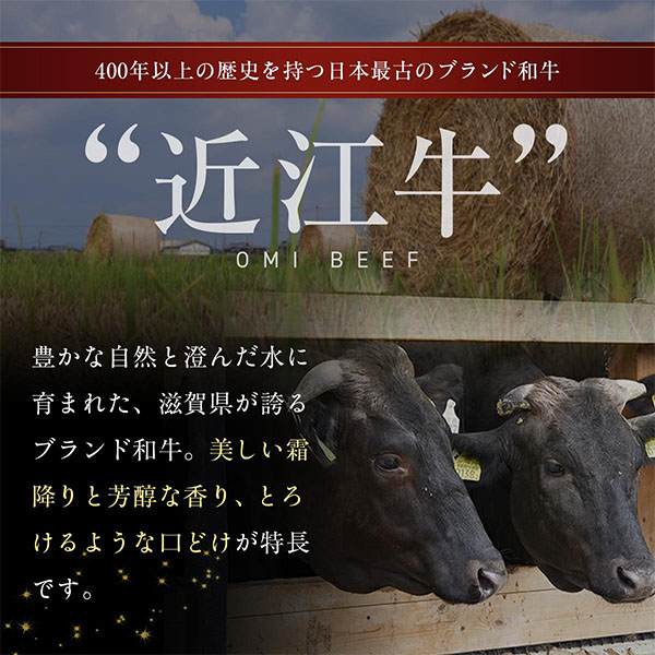 滋賀 近江牛 希少部位6種盛(部位ランダム) 500g【ブラックフライデー】【NN】　商品画像2