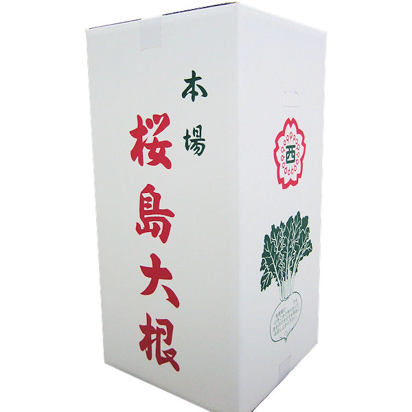 鹿児島県産 桜島大根 1本(8kg・葉付き)【限定50点】【お届け期間：2月10日〜2月28日】【フードアルチザン】　商品画像2