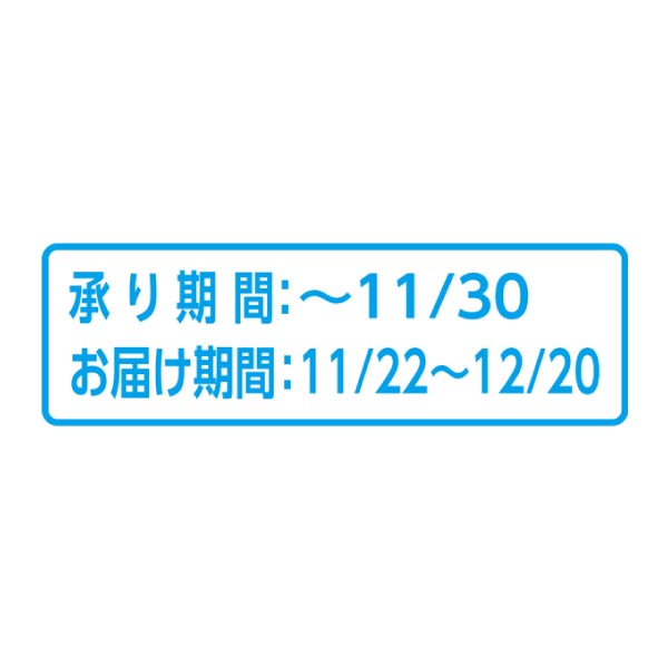 静岡県産(JAおおいがわ) アメーラトマト (お届け期間：11/22〜12/20)【冬ギフト・お歳暮】　商品画像3