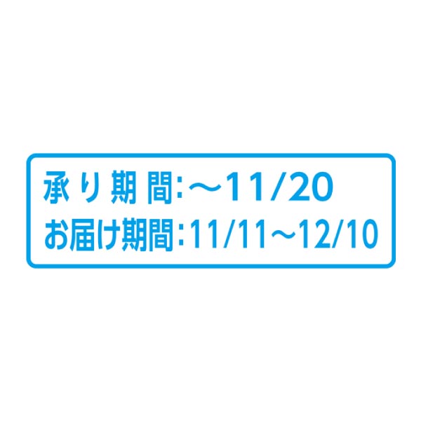 長野県産 りんご・なし詰合せ(サンふじ・ラフランス) (お届け期間：11/11〜12/10)【冬ギフト・お歳暮】　商品画像3