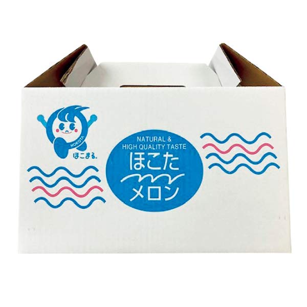 茨城県産(JAほこた) 青肉メロン(なだろうグリーン) 2個化粧箱(お届け期間：6/7〜6/30)【夏の贈りもの・お中元】　商品画像3