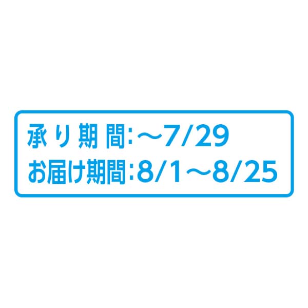 愛媛県産(JA愛媛たいき) シャインマスカット化粧箱(お届け期間：8/1〜8/25)【夏の贈りもの・お中元】　商品画像3