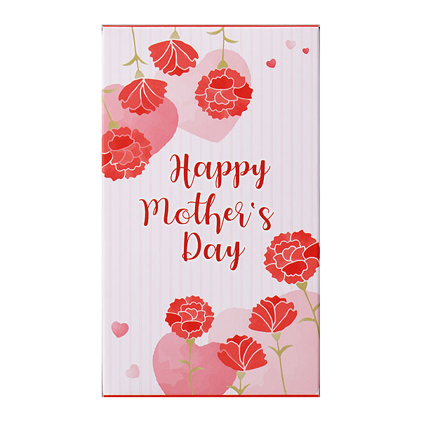 アサミグリーンプランツ カーネーション「伝えたい想い」(SUSTEE付)＋神戸スイーツポートの母の日2層バウム(プレーン＆いちご)【母の日】　商品画像3