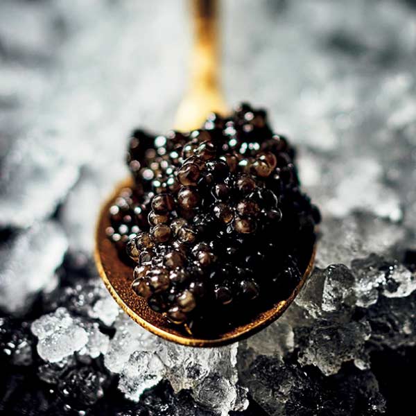 ピカール サマープレミアムセット【夏の贈りもの・お中元】　商品画像3