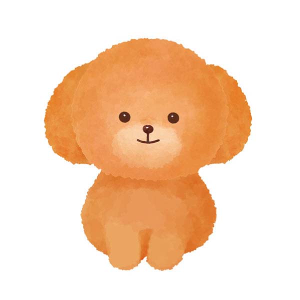 【ペット用おせち】コミフデリ 招福おせち(愛犬おせち)【小型犬1〜2匹・10品目】【イオンのおせち】　商品画像3