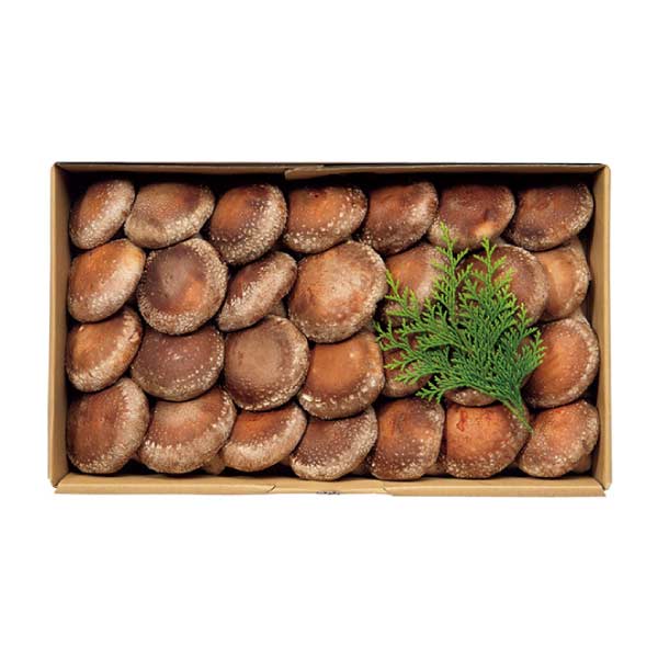 トップバリュ グリーンアイオーガニック 北海道産(清田しいたけファーム)オーガニック生しいたけ(菌床栽培)ギフト 大【夏の贈りもの・お中元】　商品画像3