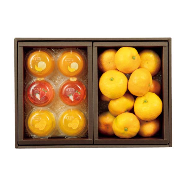 熊本県産 熊本みかん&熊本彩果ゼリー(お届け期間:12/4〜12/30)【冬の贈りもの・お歳暮】 商品画像3