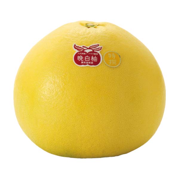 熊本県産 八代晩白柚セット(お届け期間：12/3〜12/30)【冬の贈りもの・お歳暮】　商品画像3