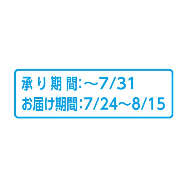 長野県産(須坂地区) 夏あかりりんご(お届け期間：7/24〜8/15)【夏の贈りもの・お中元】　商品画像3