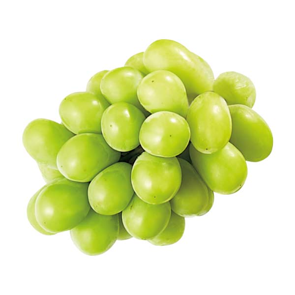 長野県産 冷蔵シャインマスカット(お届け期間：11/21〜12/20)【冬の贈りもの・お歳暮】　商品画像3