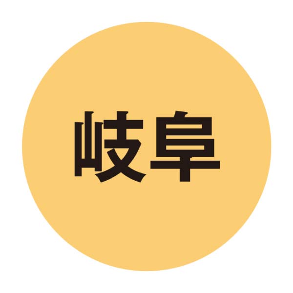 新杵堂 夏色スターロール 〜オレンジ＆レモン〜【夏の贈りもの・お中元】　商品画像3